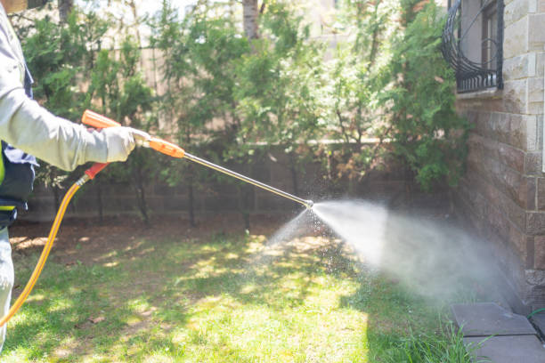 Best Pest Exclusion Services  in Clifton Gardens, NY